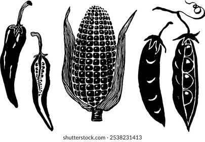 Vector hand drawn trendy illustrations of vegetables in folk style. Perfect for a grocery store branding. Food market. Collection of pea pods, beans, chili pepper, corn.