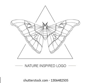 Vector hand drawn tropical atlas moth in a triangle. Tropic themed logotype for natural design. Butterfly outline isolated on white background