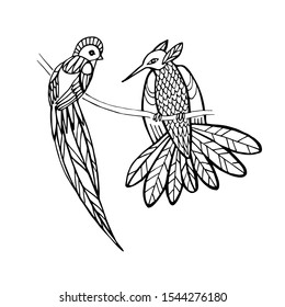 Vector hand drawn tropical birds. Vector illustration. Coloring book page.