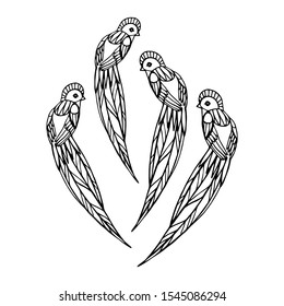 Vector hand drawn tropical birds. Vector illustration. Coloring book page.