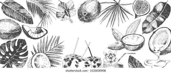 vector hand drawn tropical flower illustration. collection of coconuts, fig, palm leaves, hibiscus flower. exotic plants for design template