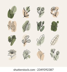 Vector Hand Drawn Tropical Leave Collection