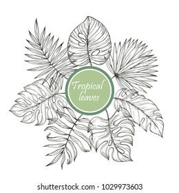 Vector hand drawn tropical plants. Tropical collection. Botanical hand drawn illustration in sketch style. Template design for sail, wedding save date, envelope, valentine, for party, holiday decor.