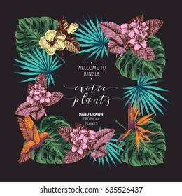 Vector hand drawn tropical plants poster. Exotic engraved leaves and flowers. square border. Monstera, livistona palm leaves, bird of paradise, plumeria, hibiscus. Use for exotic wedding, party