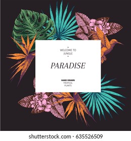 Vector hand drawn tropical plants poster. Exotic engraved leaves and flowers. square border. Monstera, livistona palm leaves, bird of paradise, plumeria, hibiscus. Use for exotic wedding, party