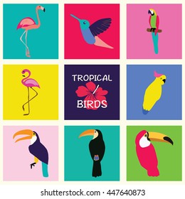 Vector hand drawn Tropical Set of birds. Bright exotic tropical birds. Parrot, Cockatoo, flamingo, toucan, hummingbird. Vector collection.