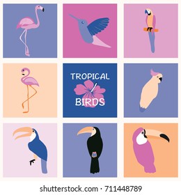 Vector hand drawn Tropical Set of birds. Bright exotic tropical birds. Parrot, Cockatoo, flamingo, toucan, hummingbird. Vector collection.