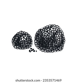 Vector hand drawn truffle vintage sketch illustration. Detailed retro style image, element for labels, packaging and cards design.
