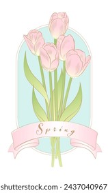 Vector hand drawn tulip bouquet