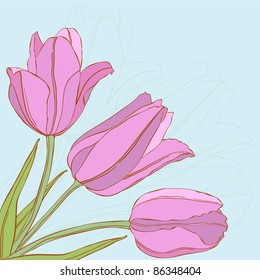 Vector hand drawn tulips.