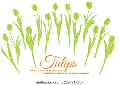 Vector hand drawn tulips FLAT FILLS ONLY, NO OUTLINES! Spring flowers isolated on a white background. Easy to use and edit flower assets. Each vector is one united shape.