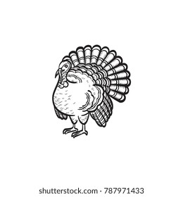 Vector hand drawn Turkey outline doodle icon. Turkey sketch illustration for print, web, mobile and infographics isolated on white background.