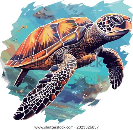 Vector hand drawn turtle colored clipart illustration