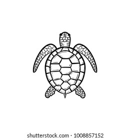 Vector hand drawn Turtle outline doodle icon. Turtle sketch illustration for print, web, mobile and infographics isolated on white background.