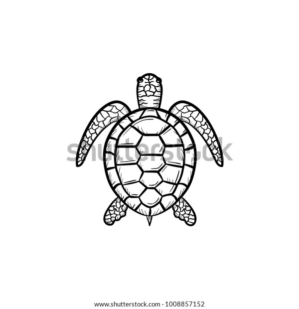 ベクター手描きの亀のアウトライン落書きアイコン 白い背景に印刷 ウェブ モバイル およびインフォグラフィック用の亀のスケッチイラスト のベクター画像素材 ロイヤリティフリー