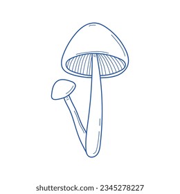Vector hand drawn two mushrooms sketch isolated on white background. Amanita muscaria, fly agaric illustration