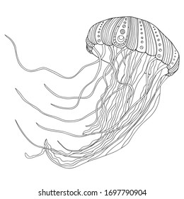 Vector hand drawn underwater animal. Outline illustration. Hand drawn jellyfish. For coloring book page
