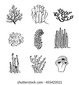 Vector hand drawn underwater ink corals collection. All elements of the illustration are isolated. 