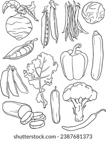 Iconos de verduras dibujadas a mano por vectores. Menú de restaurante de producto de granja de colección de estilo boceto, etiqueta de mercado. conjunto de vectores de línea