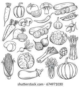 Vector hand drawn vegetables icons set. Sketch style collection farm product restaurant menu, market label.