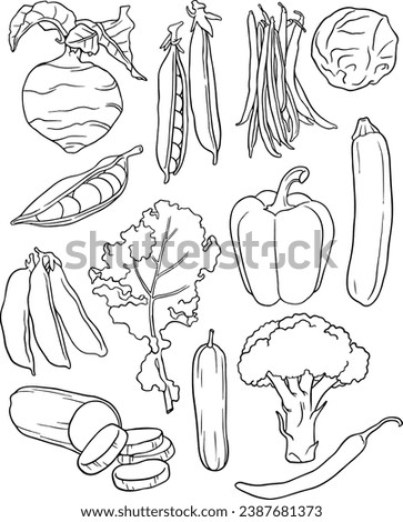 Vector hand drawn vegetables icons set. Sketch style collection farm product restaurant menu, market label. line vector set