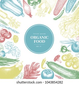 Vector hand drawn vegetables Illustration. Vintage style banner template. Retro organic farm food background. Can be use for menu, packaging, label, farm market.