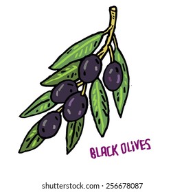 Vector hand drawn vegetables isolated - black olives