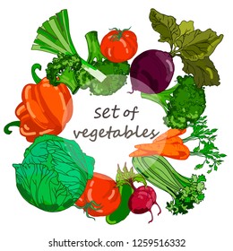 Vector hand drawn vegetables. Round border composition. Tomato, onion, cabbage, beet, celery, parsley, pepper, leek. Organic vegetarian objects. restaurant, menu grocery market shop party food.vector 