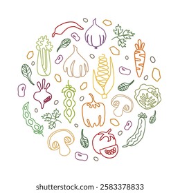 Vector hand drawn vegetables round shape form. Can be used for cards, books, packaging or advertising. Background. Line vegetables. Green line icons