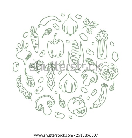 Vector hand drawn vegetables round shape form. Can be used for cards, books, packaging or advertising. Background. Line vegetables. Green line icons