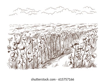 vector hand drawn village houses sketch and nature Hand drawn Illustration.