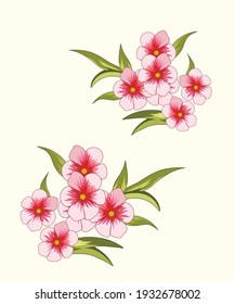 Vector hand drawn vintage motif with colors