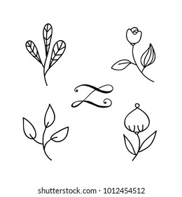 Vector hand drawn vintage set of elements for text with flowers and herbs. Rustic decorative vector design set. Doodle leaves of plants