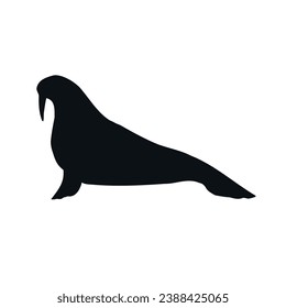 Vector hand drawn walrus silhouette isolated on white background