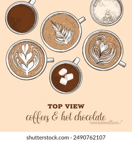 Vector hand drawn warm and hot beverages. Top view lattes and milk chocolates with marshmallows. Drinks assets ready to use and easy to edit.