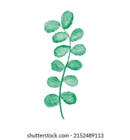 Vector hand drawn watercolor illustration isolated on white background. Botanical clipart. Green branch leaves, herbs. Floral Design elements for wedding invitations, greeting cards, posters, blogs