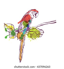 Vector hand drawn watercolor illustration of tropical ara parrot. Colorful parrot bird sitting on branch with green leaves. Isolated design element for fashion print, label, package, background.