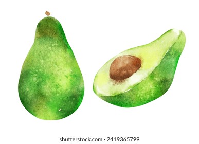 Acuarela dibujada a mano vectora ilustración aislada de aguacate entero y medio