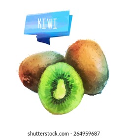 Vector hand drawn watercolor painting fruit kiwi on white background. 