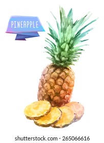 Vector hand drawn watercolor painting fruit pineapple on white background. 