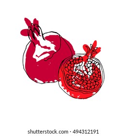 Vector hand drawn watercolor painting fruit garnet on white background.
