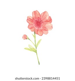 Vector hand drawn watercolor poppy flower.