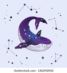 Vector hand drawn whale with statars background. Space whale illustration. Sketch. Tattoo art, graphic, t-shirt design, poster design, invitations, greeting cards, posters.