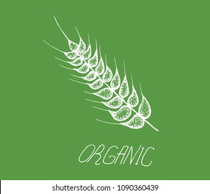 vector hand drawn wheat ears sketch doodle on green background. healthy organic grain illustration.