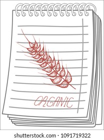 vector hand drawn wheat ears sketch doodle on notebook background. healthy organic grain illustration.