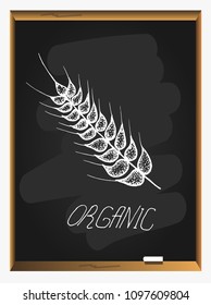 vector hand drawn wheat ears sketch doodle on blackboard background. healthy organic grain illustration.