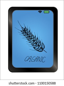 vector hand drawn wheat ears sketch doodle on background plate. healthy organic grain illustration.