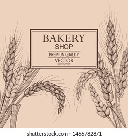 Vector hand drawn wheat ears.
Farm field illustration. For packing.Bunch of grain barley.Banner design. Barley illustration in vintage style.Wheat grain,granule, kernel,corn,rye,barley,oats,pic.