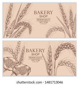 Vector hand drawn wheat ears set.
Farm field illustration. For packing.Bunch of grain barley.Banner design. Barley illustration in vintage style. Wheat grain, granule, kernel, corn, rye, barley, oats