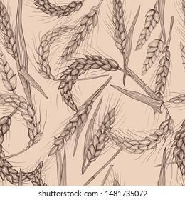 Vector hand drawn wheat ears seamless pattern.
Farm field illustration.For packing.Bunch of grain barley.Banner design. Barley illustration in vintage style.Wheat ,granule, kernel,corn,rye,barley,oats